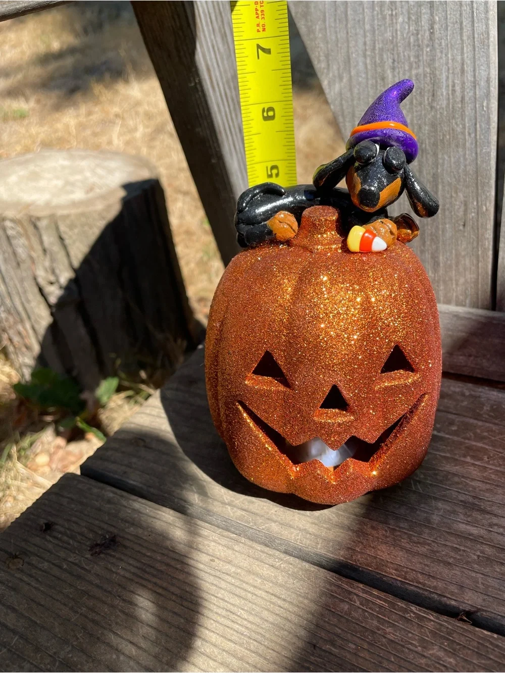 HANDMADE DACHSHUND HALLOWEEN PUMPKIN